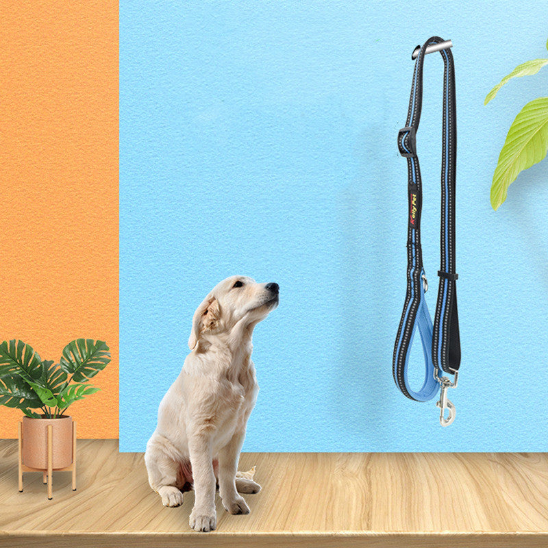 Nylon Retractable Assisted Pet Leash