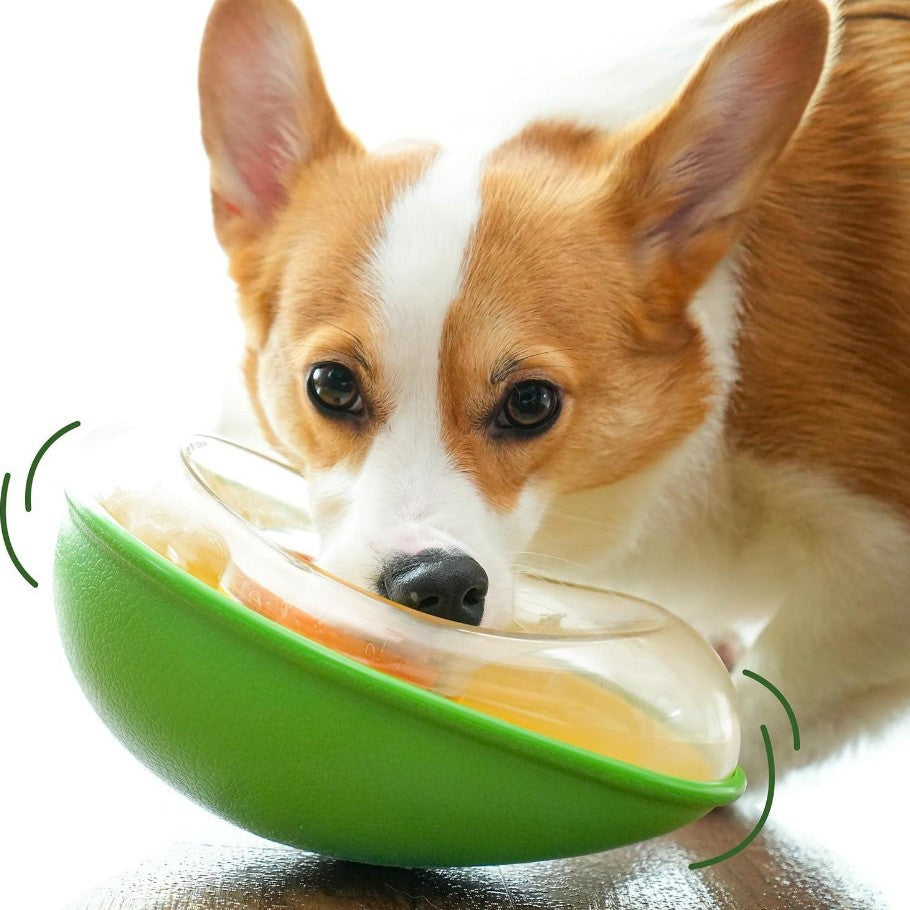 Anti-Tumble Avocado Pet Feeding Bowl Stand