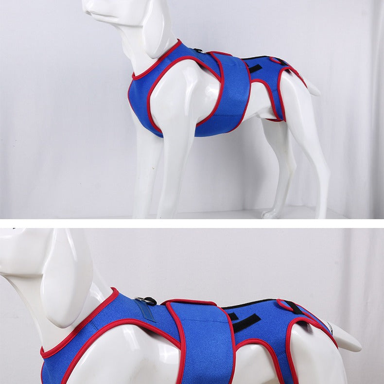 Spine Support Posture Correction Pet Jacket