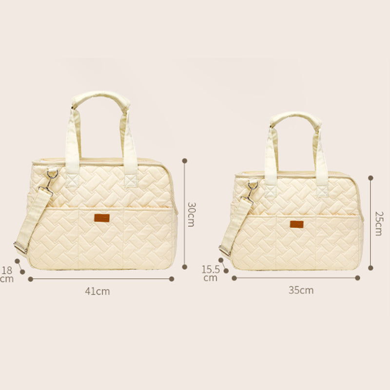 Breathable Mesh Pet Carrier Bag With Cushion And Pockets