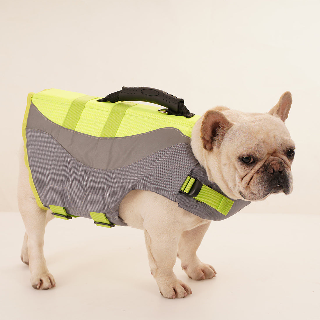 Reflective Pet Swim Life Jacket Suit