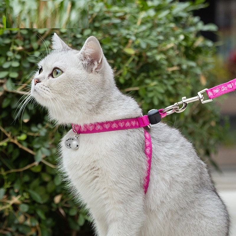 Pet Bell Chest Strap And Adjustable Leash Vest