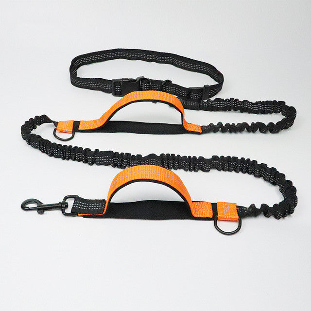 Adjustable Pet Harness Collar And Jogging Leash Set