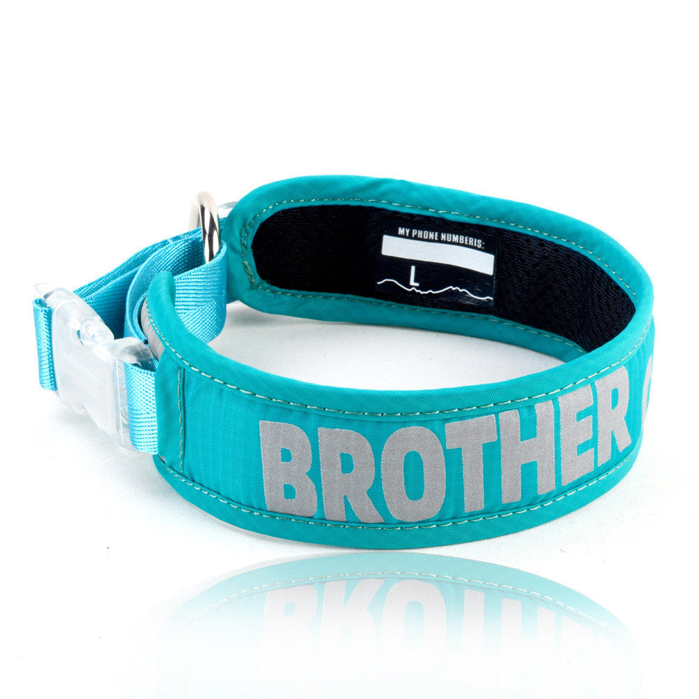 Heavy Duty Chest Strap Pet Leash With Storage Bag